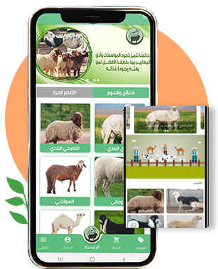  التقنيات المستخدمة لبرمجة التطبيق؟ 